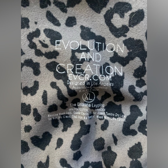 Evolution and Creation Matching Set - Picture 7 of 7